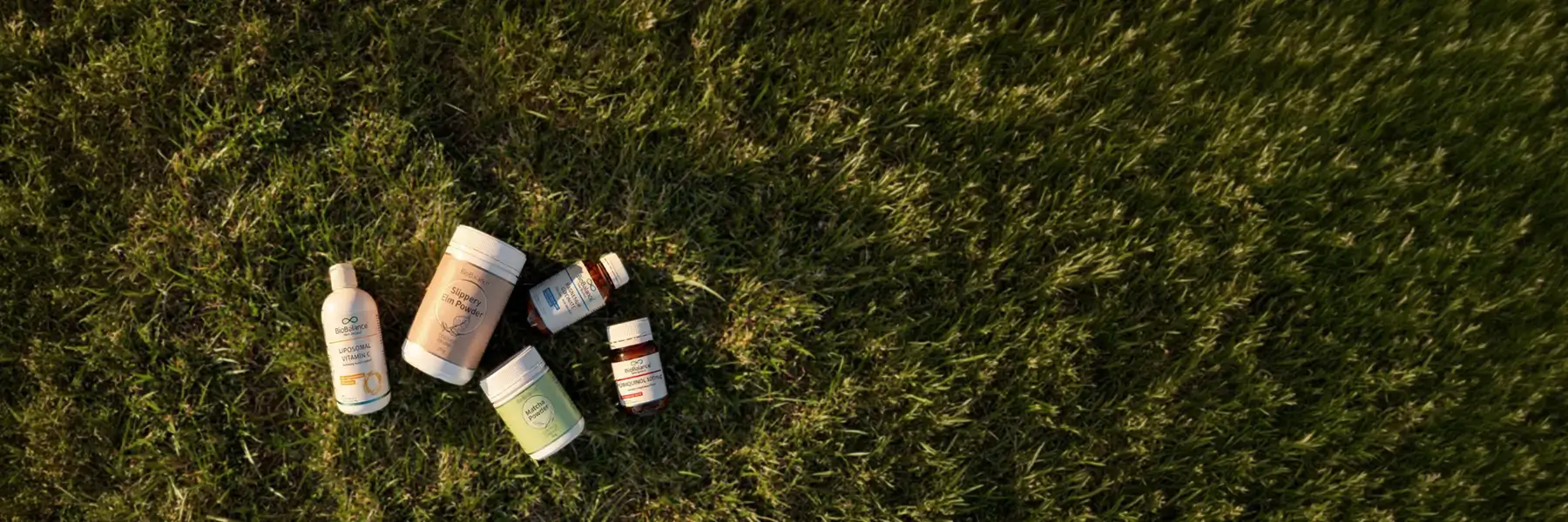 Natural Wellness, Ethically Sourced